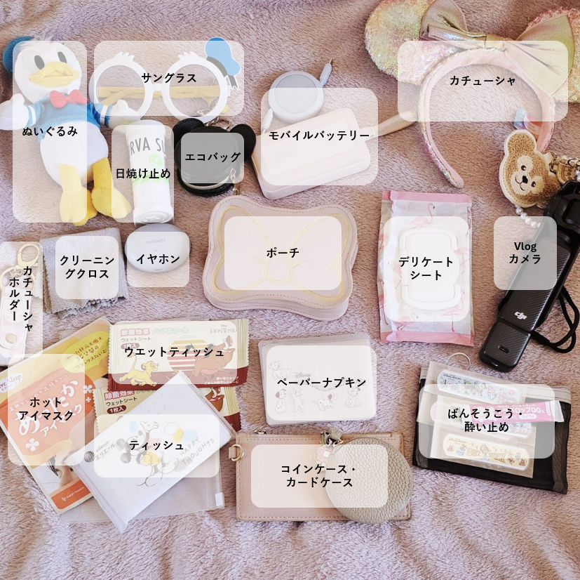 ディズニーのバッグの中身｜日帰りショルダーバッグ編